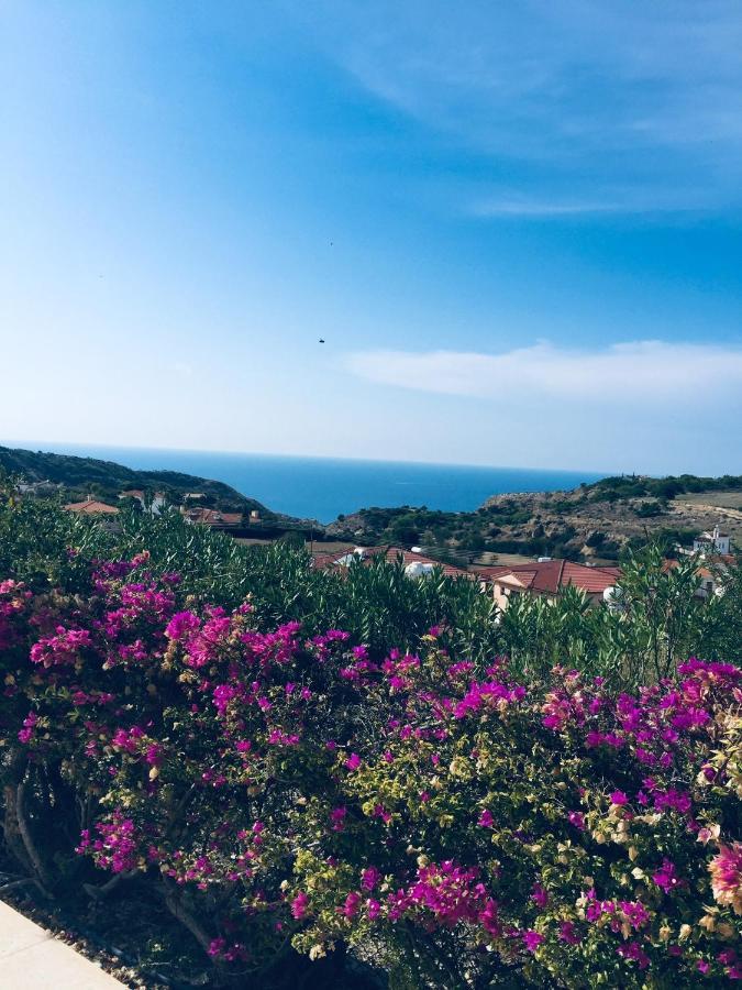 Pissouri Villa Miramar 외부 사진